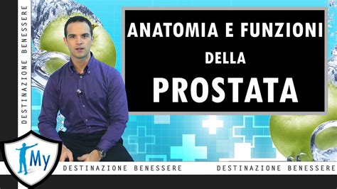 ghiandole skene|La prostata femminile: dove si trova